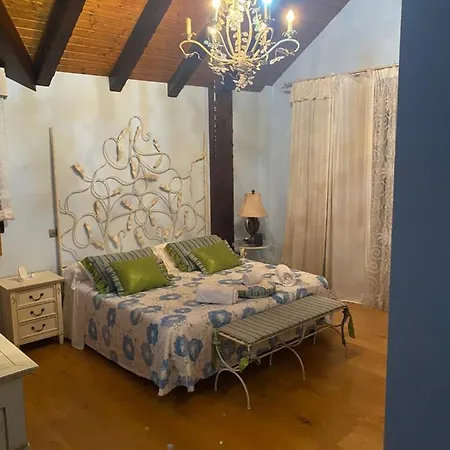 Homestay Dario House