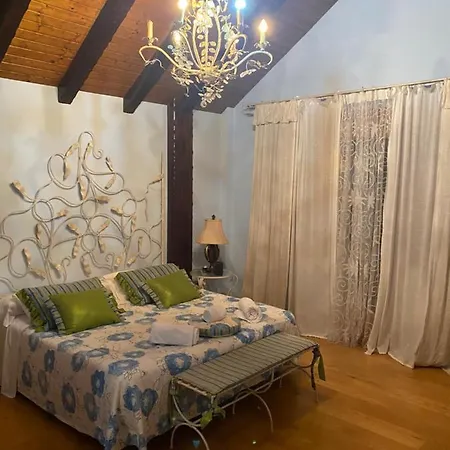 Dario House