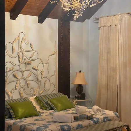 Homestay Dario House
