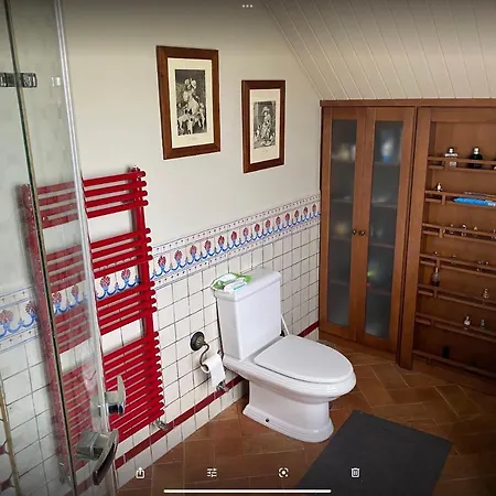 Homestay Dario House Argonos